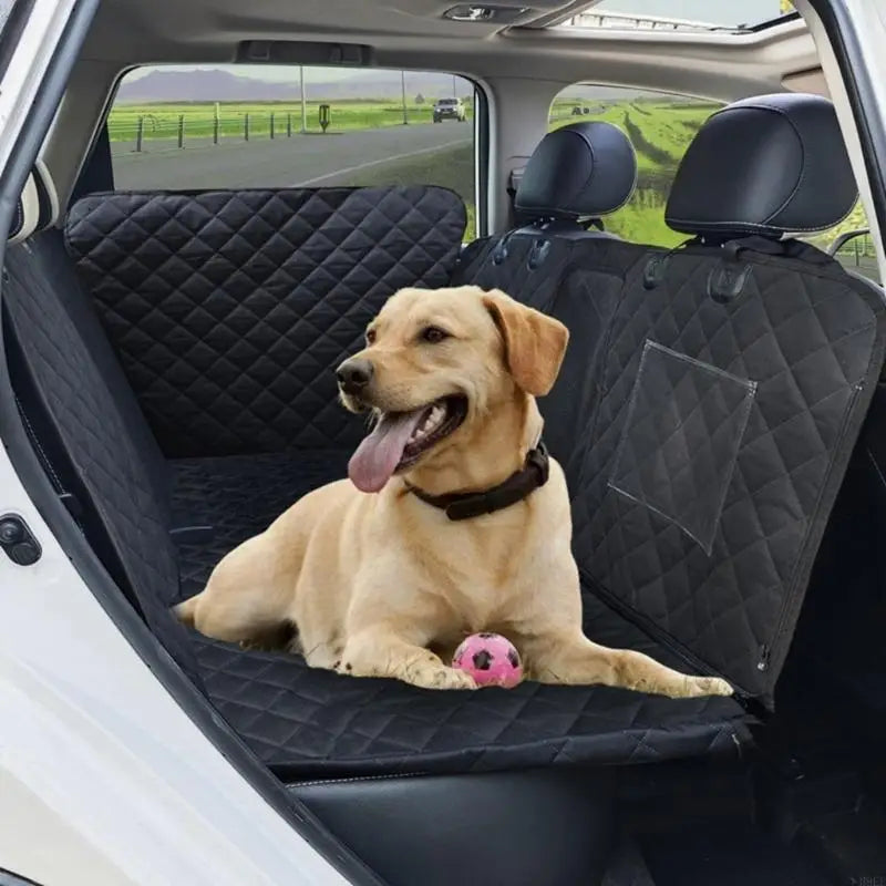Hamac Voiture pour Chien Matelassé 4 en 1 Fenêtre en Maille