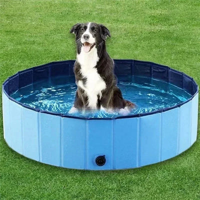 Piscine pour Chien 160 cm Pliable avec Vidange