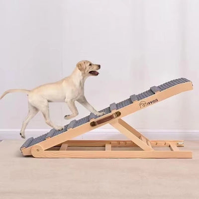 Rampe pour Chien Bois Massif Pliable 6 Hauteurs Portable
