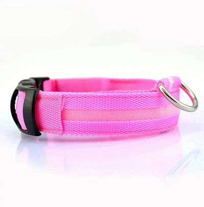 Collier LED Veilleuse Rechargeable pour Chien