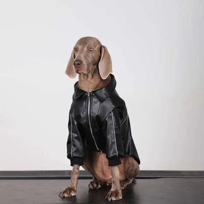 Manteau Biker Simili Zippé Coupe-Vent Gros Chien
