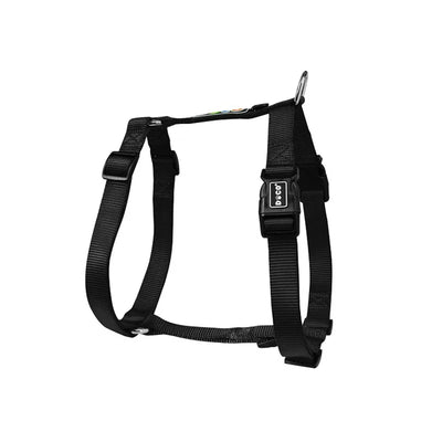 Harnais Chien en H Nylon Réglable Moyen et Grand