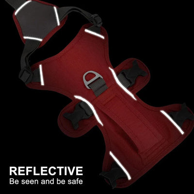 https://cdn.shopify.com/s/files/1/0489/2898/1148/files/S2f92fee2fc2a446b9fb77b31b5bc055eC.webp?v=1742985537