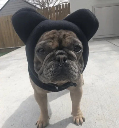 Ensemble Cagoule et Cache-Oreilles Chien Noir