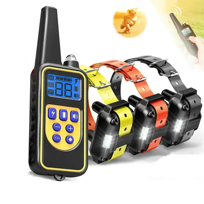 Collier Dressage LCD 800m Étanche Gros Chien