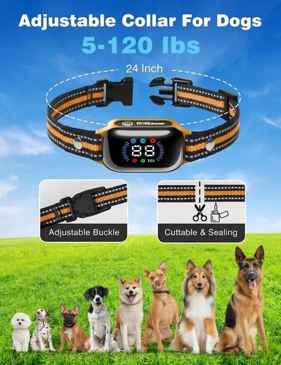 Collier Dressage 2-en-1 IPX7 3300ft Gros Chien