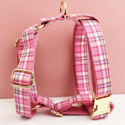 Ensemble Collier Harnais Laisse Carreaux Gravé Chien