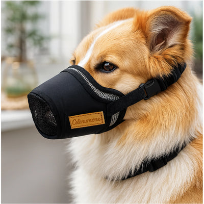 Muselière Chien Tissu Embout Filet Border Collie