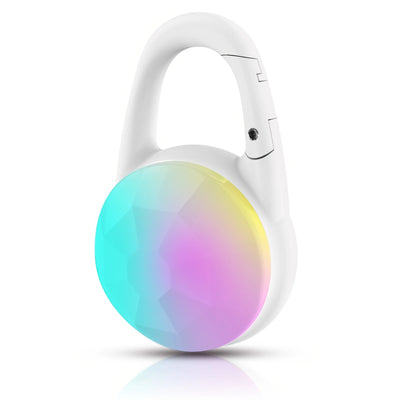 Lumière LED Rechargeable pour Collier de Chien