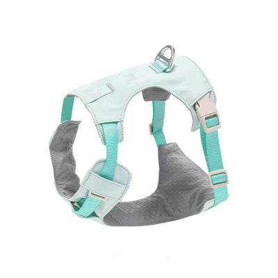 Ensemble Harnais et Laisse Assortis Anti-Traction Chien