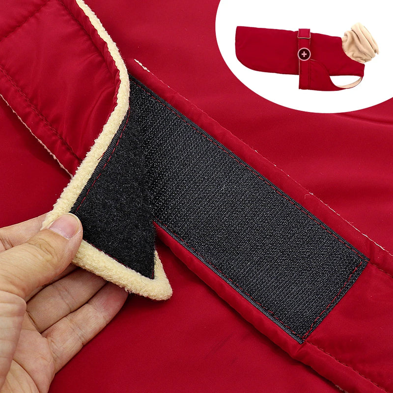 Manteau Imperméable Dos Long Lévrier Berger 3XL-5XL