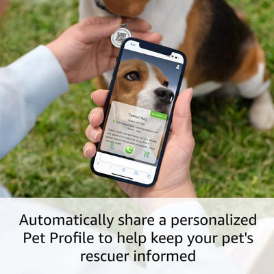 Médaille QR Code Chien en Métal Sans Abonnement