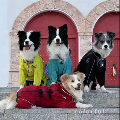 Manteau Pluie Réfléchissant Combinaison Gros Chien