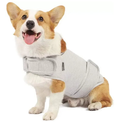 Vêtement Apaisant Anti-Anxiété Réglable Col Amovible Chien Voyage