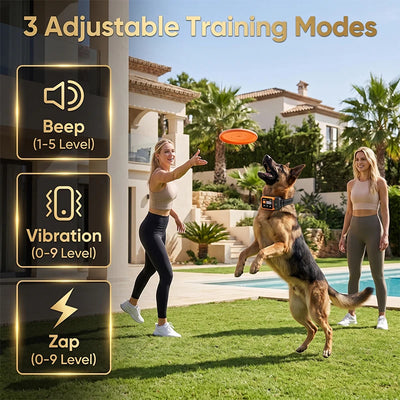 Clôture Électronique Sans Fil pour Chien GPS 2000 m Silicone