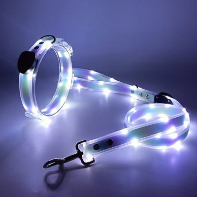Collier et Laisse LED Lumineux pour Chien