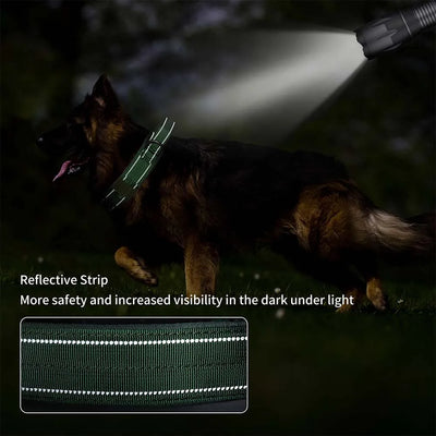 Collier Tactique Militaire Poignée Gros Chien