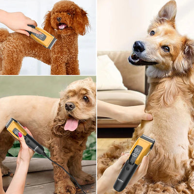 Tondeuse pour Chien Professionnelle Sans Fil 2000 mAh