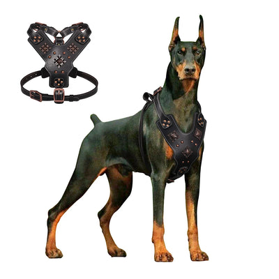 Harnais Cuir Gros Chien Poignée de Contrôle et Rivets Cuivrés