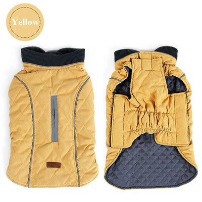 Manteau Hiver Réfléchissant Bull Terrier Six Coloris XS-3XL