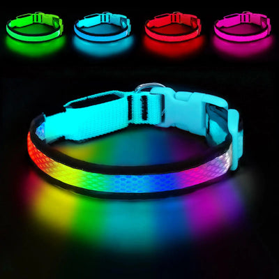 Collier LED Rechargeable Nylon Doux pour Chien