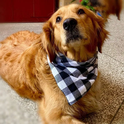 Bandana Chien Triangulaire Carreaux Nœud Papillon