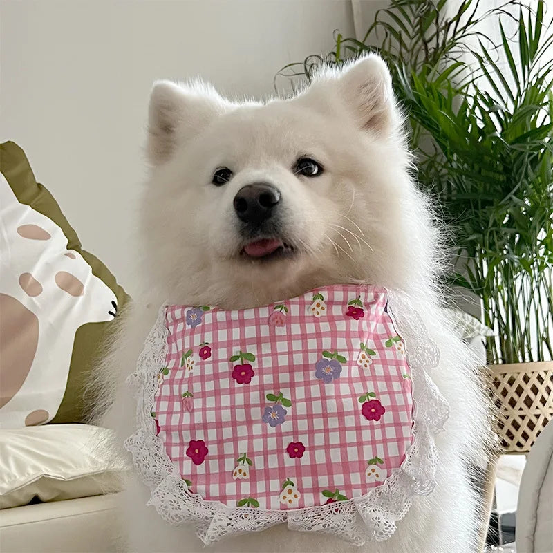 Bandana Chien Vichy Dentelle Grand Foulard