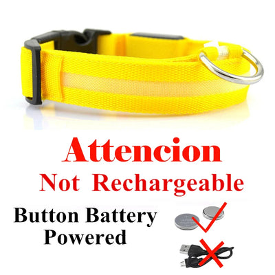 Collier Lumineux LED USB pour Chien