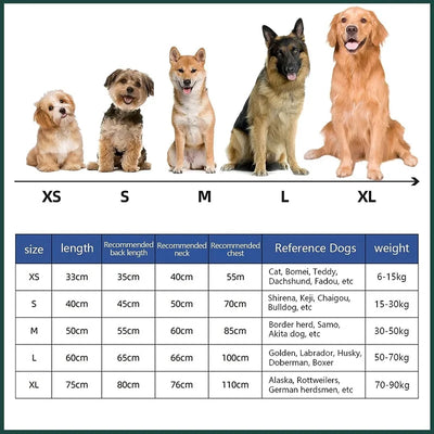 Peignoir Séchage Rapide Microfibre pour Chien