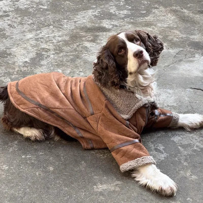 Manteau XXL Veste Hiver Très Gros Chien
