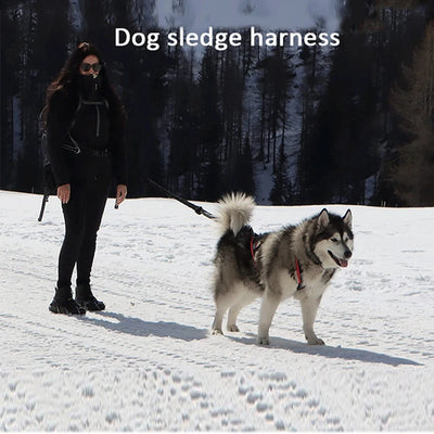 Harnais de Traîneau Husky Extérieur Traction de Poids