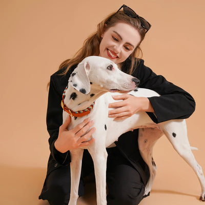 Collier Tressé Coloré Fait Main pour Grand Chien