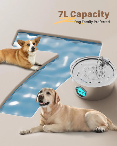Fontaine à Eau Chien Inox 7 L Fenêtre Niveau d'Eau