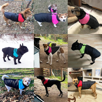 Manteau Hiver Chien Grande Taille Coupe-Vent Zippé