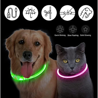 Collier Lumineux LED Rechargeable USB Nylon Grand Chien