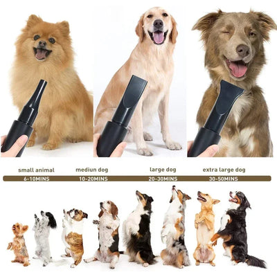 Souffleur de Toilettage Sèche-Poil 100 m/s pour Grand Chien