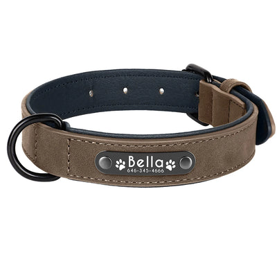 Collier Cuir Personnalisé Plaque Gravée Grand Chien