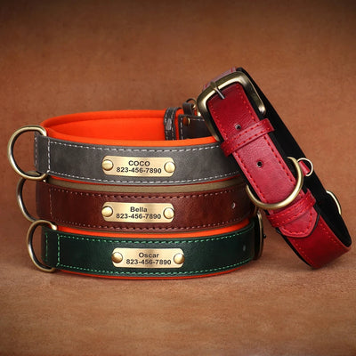Collier Cuir Personnalisé Gravure Gros Chien