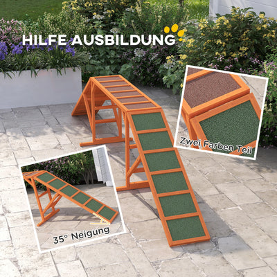 Passerelle d'Agility en Bois Antidérapante pour Chien 325 cm