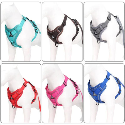 https://cdn.shopify.com/s/files/1/0489/2898/1148/files/S38f60f3643574f8d865e2b319edab7fdC.webp?v=1742913975