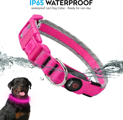 Collier LED Rechargeable Nylon Doux pour Chien