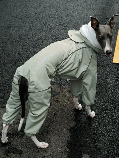 Combinaison Imperméable 4 Pattes Polaire pour Lévrier Italien