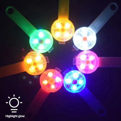Collier LED Rechargeable Multicolore pour Chien