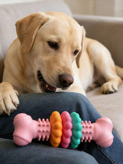 Jouet Indestructible Os à Anneaux Colorés à Mâcher Chien