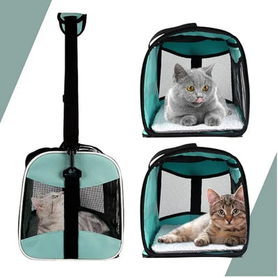 https://cdn.shopify.com/s/files/1/0489/2898/1148/files/S3a8f53474c8d4f2e94d7da75c1fb1e7ff.webp?v=1772768186