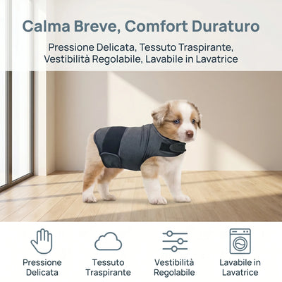 Vêtement Apaisant Anti-Anxiété Réglable Col Amovible Chien Voyage
