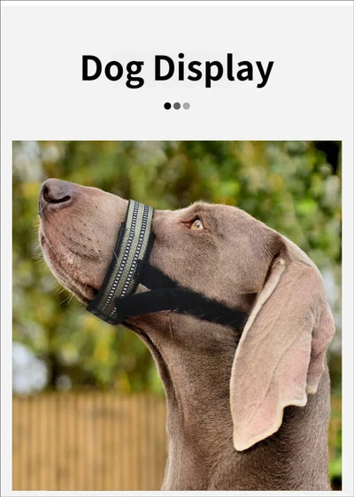 Muselière Chien Réfléchissante Anti-Morsure Grand Chien