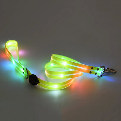 Collier et Laisse LED Lumineux pour Chien