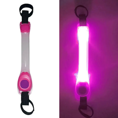 Collier Lumineux Étanche Anti-Perte pour Chien
