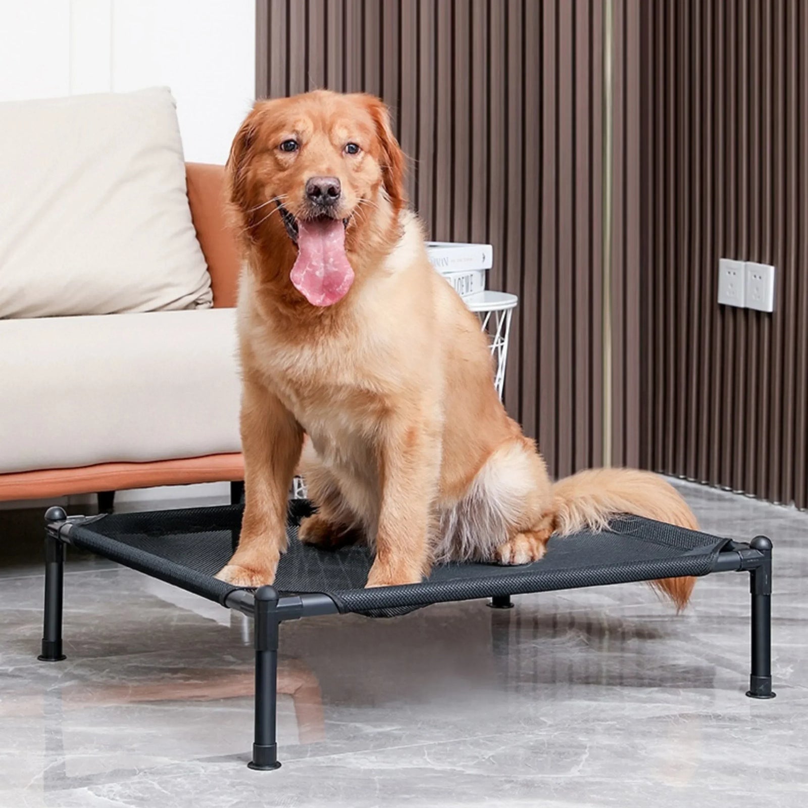 Lit Surélevé pour Chien Toile Respirante 4 Motifs 3 Tailles